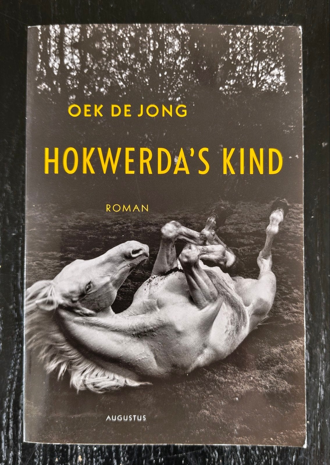 Oek de Jong - Hokwerda's kind, Boeken, Ophalen of Verzenden, Zo goed als nieuw, Oek de Jong