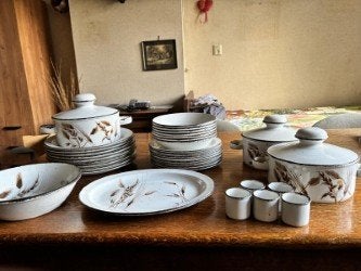 vintage servies, Gebruikt, Vintage, Ophalen of Verzenden, Compleet servies