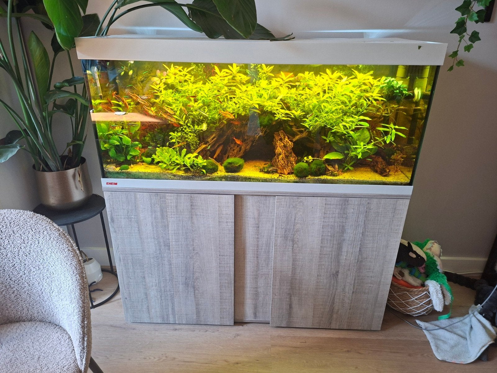Eheim 240 liter aquarium met alle toebehoren en vissen, Ophalen, Zo goed als nieuw, Gevuld zoetwateraquarium