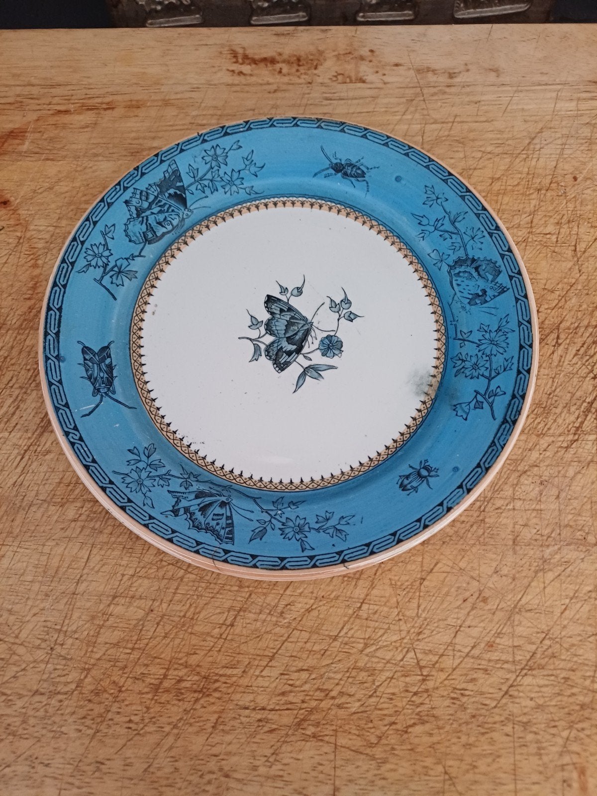 Prachtig antiek Bord van Regout decor Vlinder blauw, Antiek en Kunst, Antiek | Servies los, Verzenden