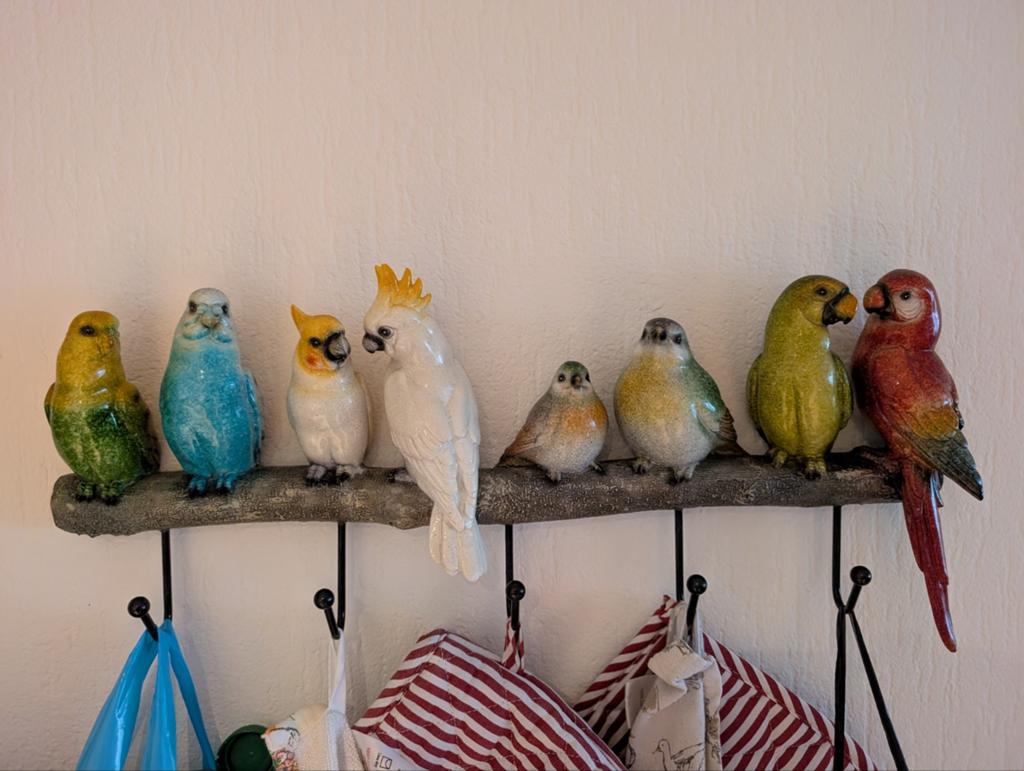 Decoratieve vogel kapstok / wanddecoratie, Meerkleurig, Overige stijlen, Ophalen of Verzenden, Zo goed als nieuw