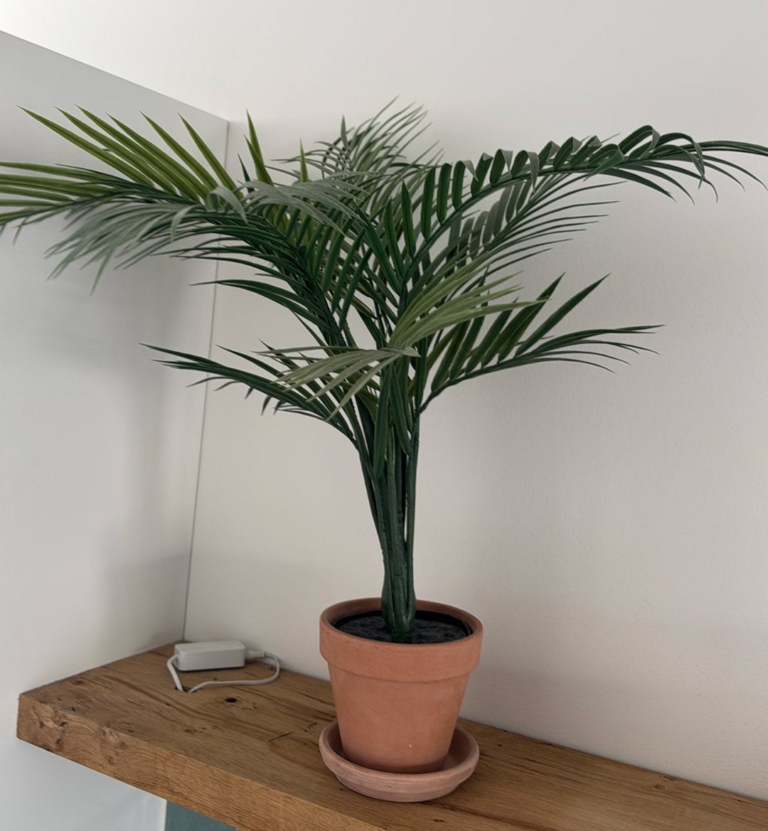 3 kunstplanten in een terracotta potje 30 tot 60cm, Ophalen, Zo goed als nieuw