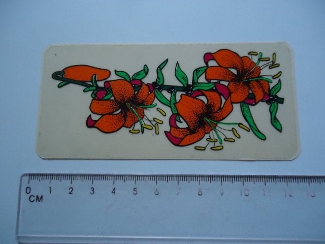 sticker oud bloemen jaren 70 seventies flowerpower retro ---, Verzenden, Zo goed als nieuw, Bedrijf of Vereniging