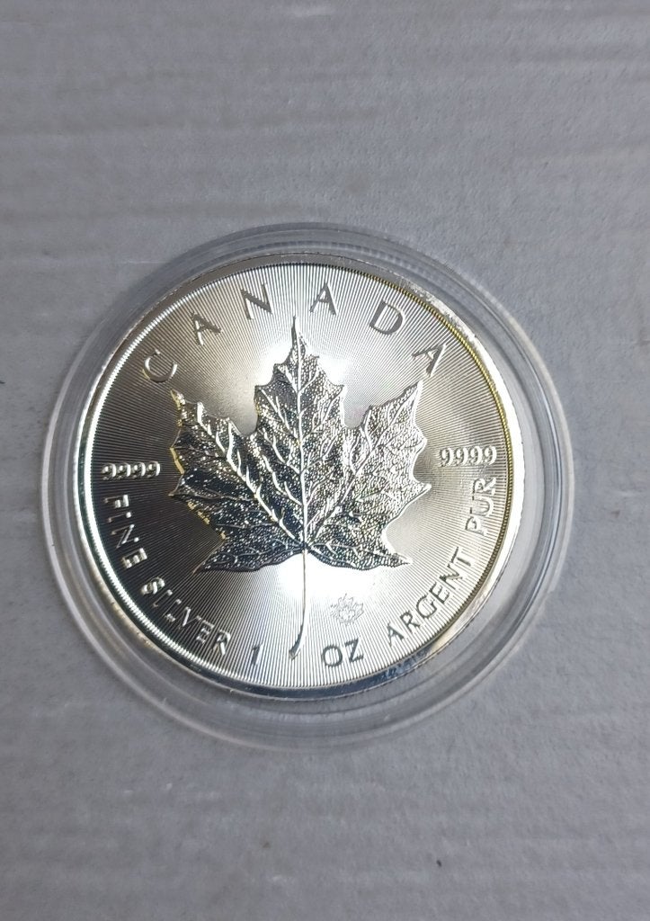 1 Oz Maple Leaf Zilveren munt Canada 2019, Verzenden, Noord-Amerika, Losse munt, Zilver