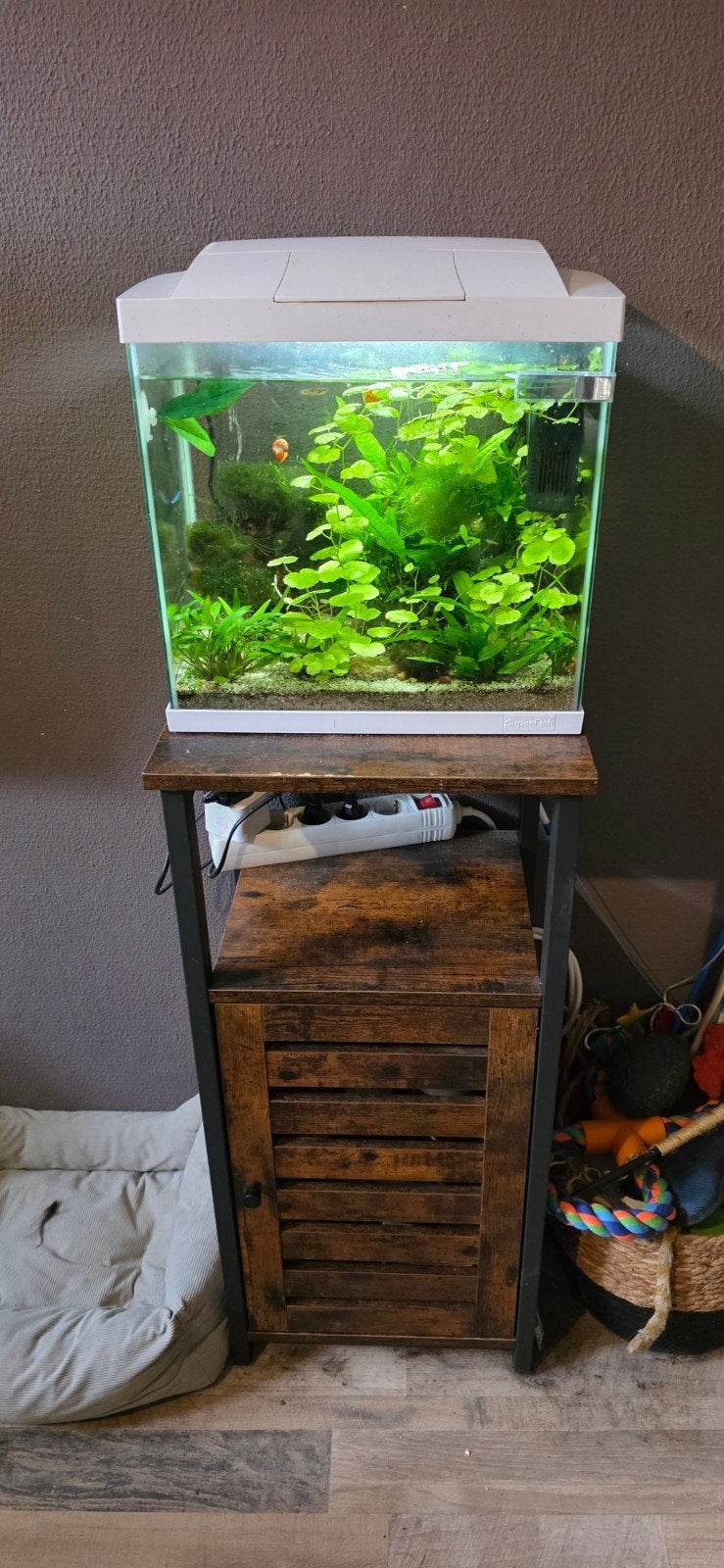 superfish aquarium compleet icl kastje, Ophalen, Inclusief toebehoren, Superfish, Gevuld zoetwateraquarium