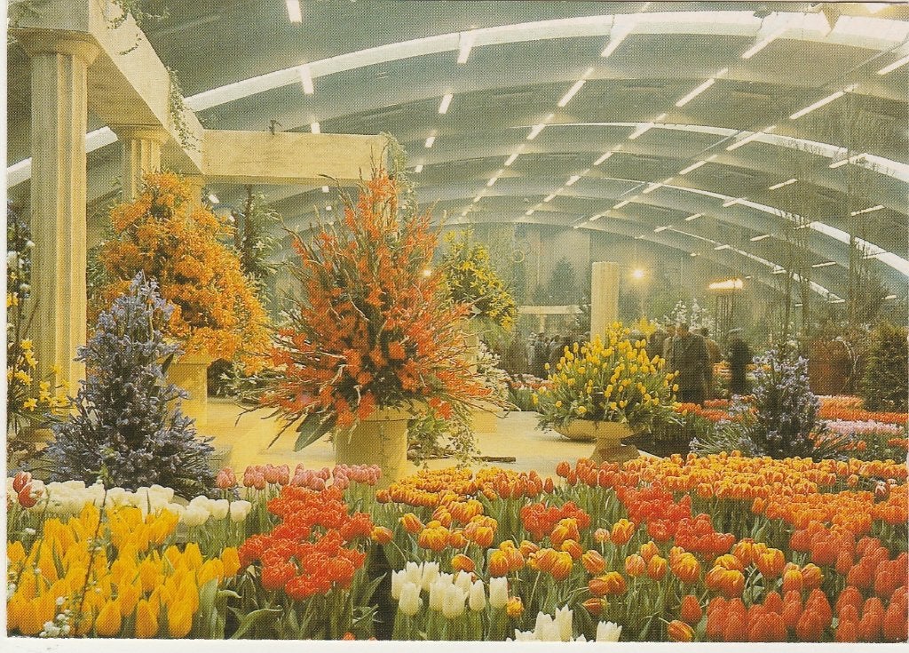 BOVENKARSPEL Westfriese Flora, Verzenden, 1980 tot heden, Gelopen, Noord-Holland