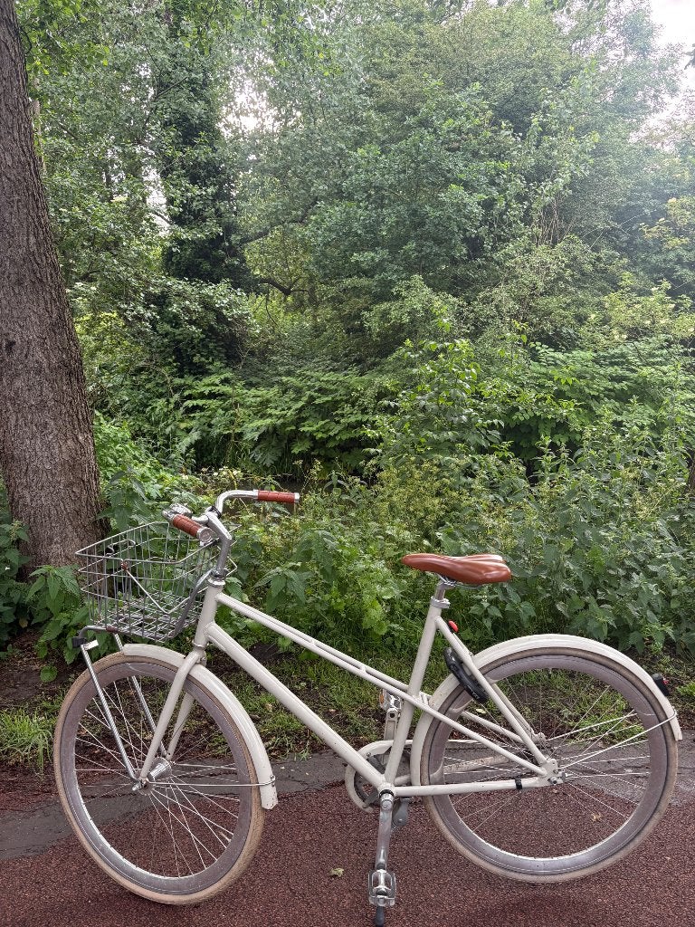 Fiets, Ophalen, Zo goed als nieuw, Overige merken