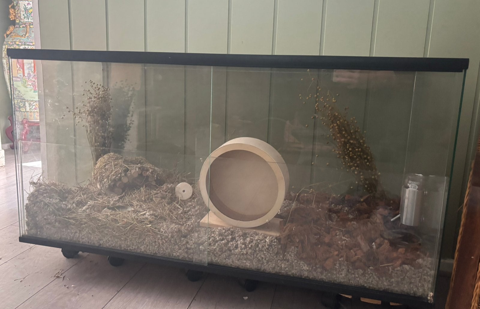 Gerbil shop Queenies gerbil terrarium/terrarium, Dieren en Toebehoren, Zo goed als nieuw, Hok, 75 tot 110 cm, Ophalen