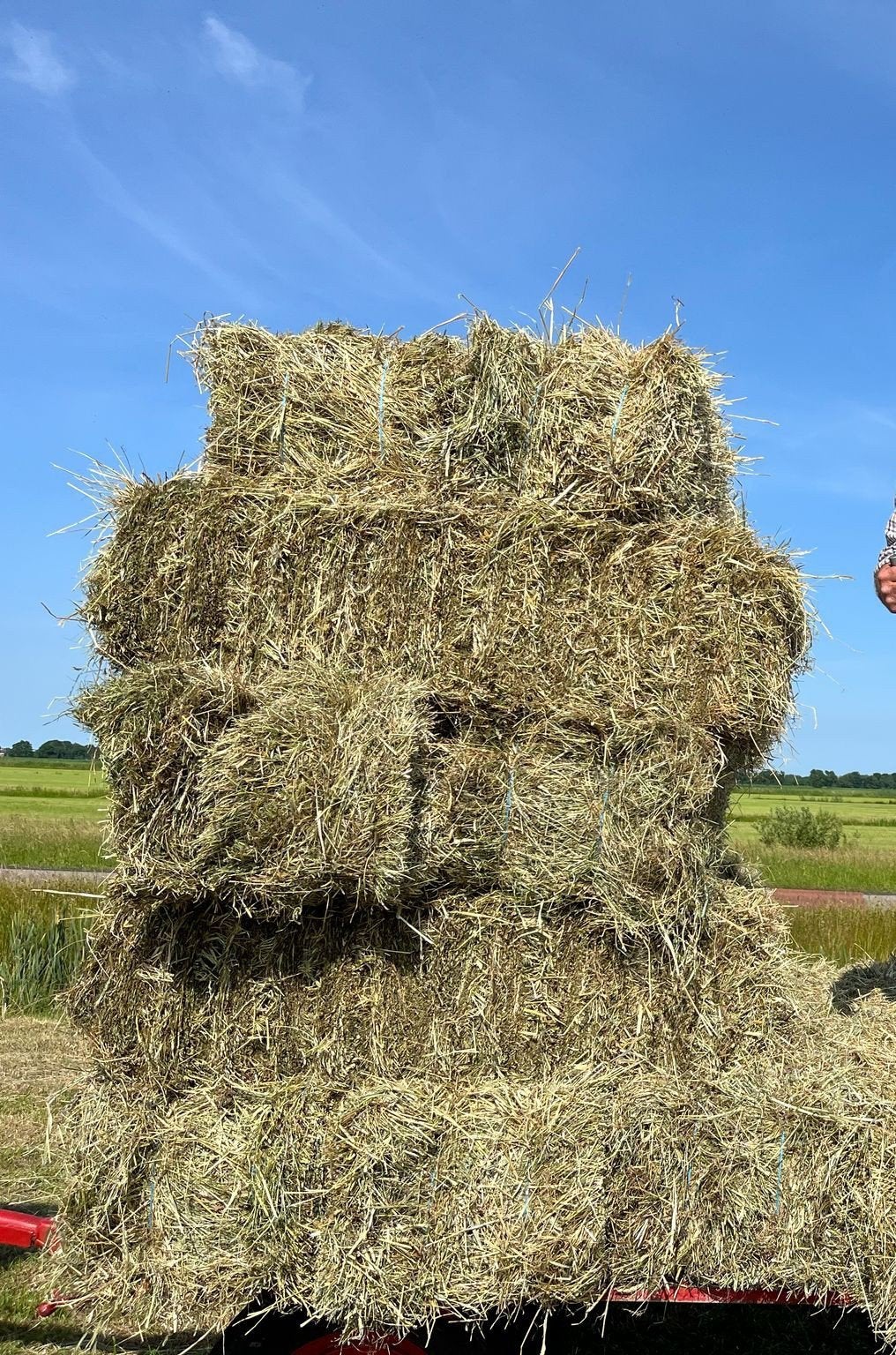 Kleine pakjes prachtig hooi te koop, Dieren en Toebehoren, Ophalen, Vee