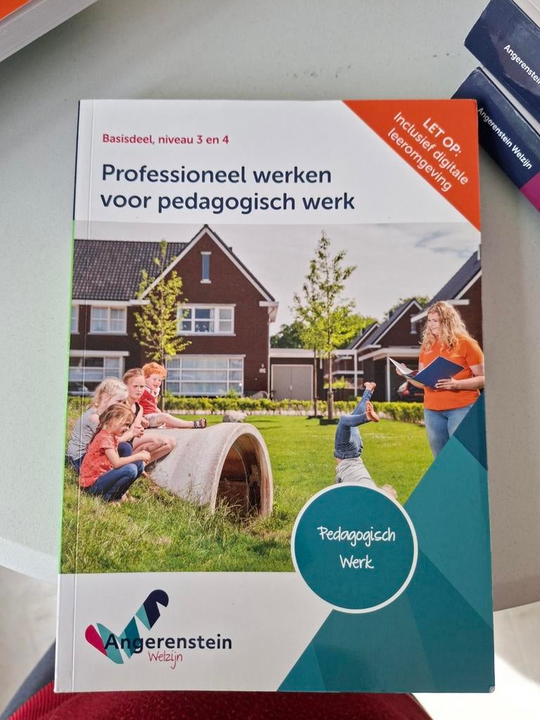 Studieboek: Professioneel werken voor pedagogisch werk, Ophalen of Verzenden, Zo goed als nieuw, MBO, Angerenstein Welzijn