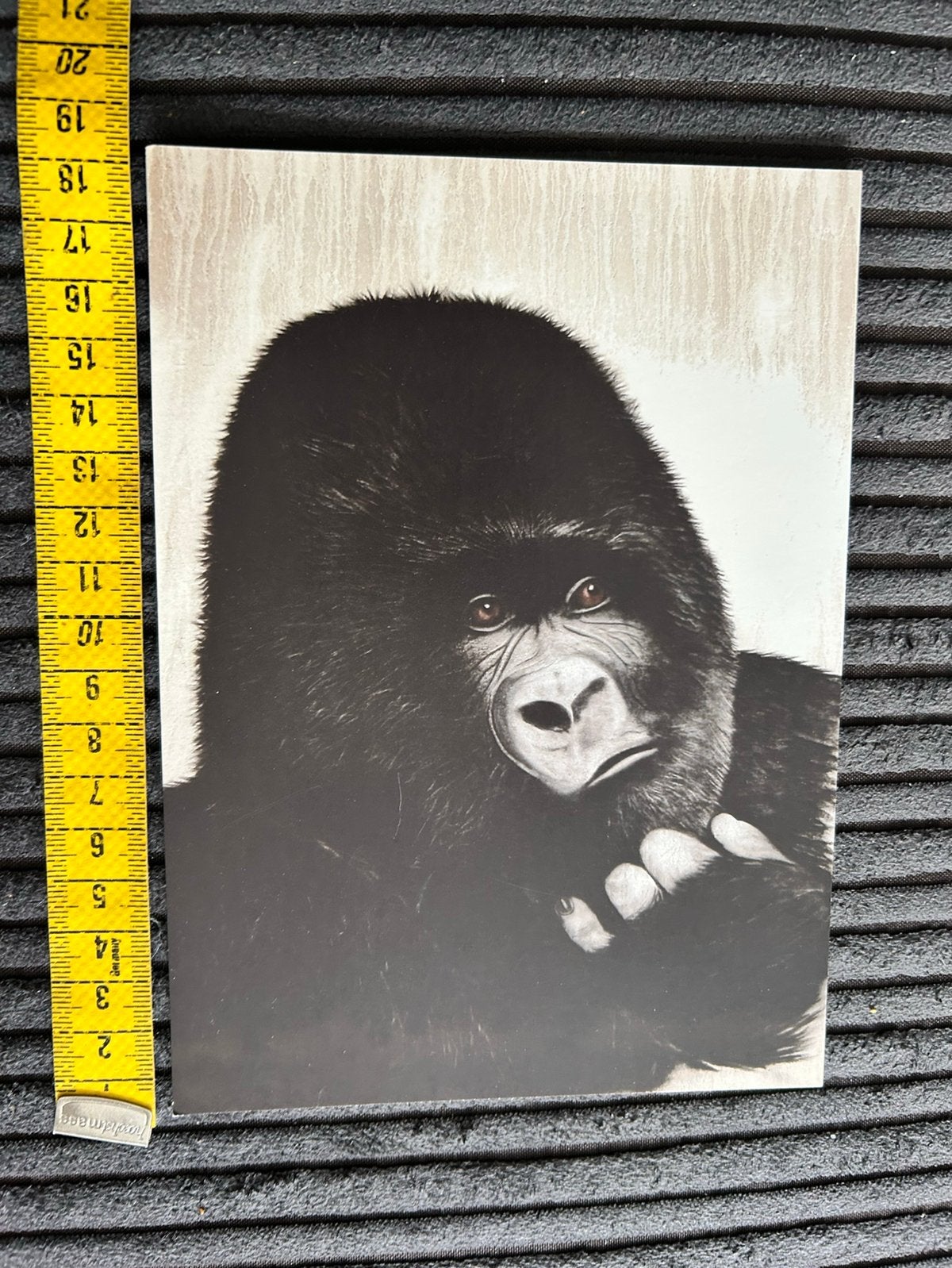Grote ikea kaart Gorilla aap, Ophalen of Verzenden, 1980 tot heden