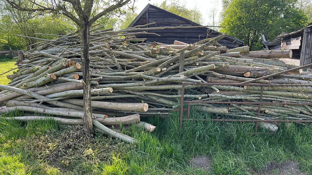 Haardhout wilgen ca 35m3, 6 m³ of meer, Ophalen, Overige houtsoorten, Takken