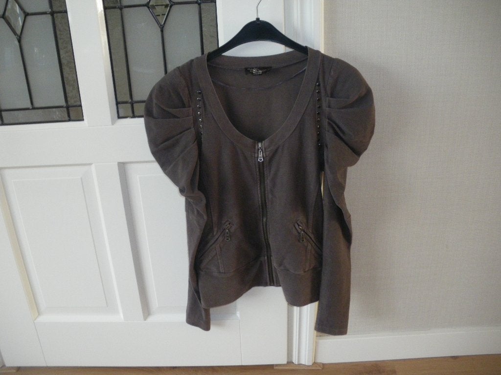 leuk grijs vest met pofmouw siersteentjes anna scott 38/40, Ophalen of Verzenden, Zo goed als nieuw, Maat 38/40 (M), Grijs