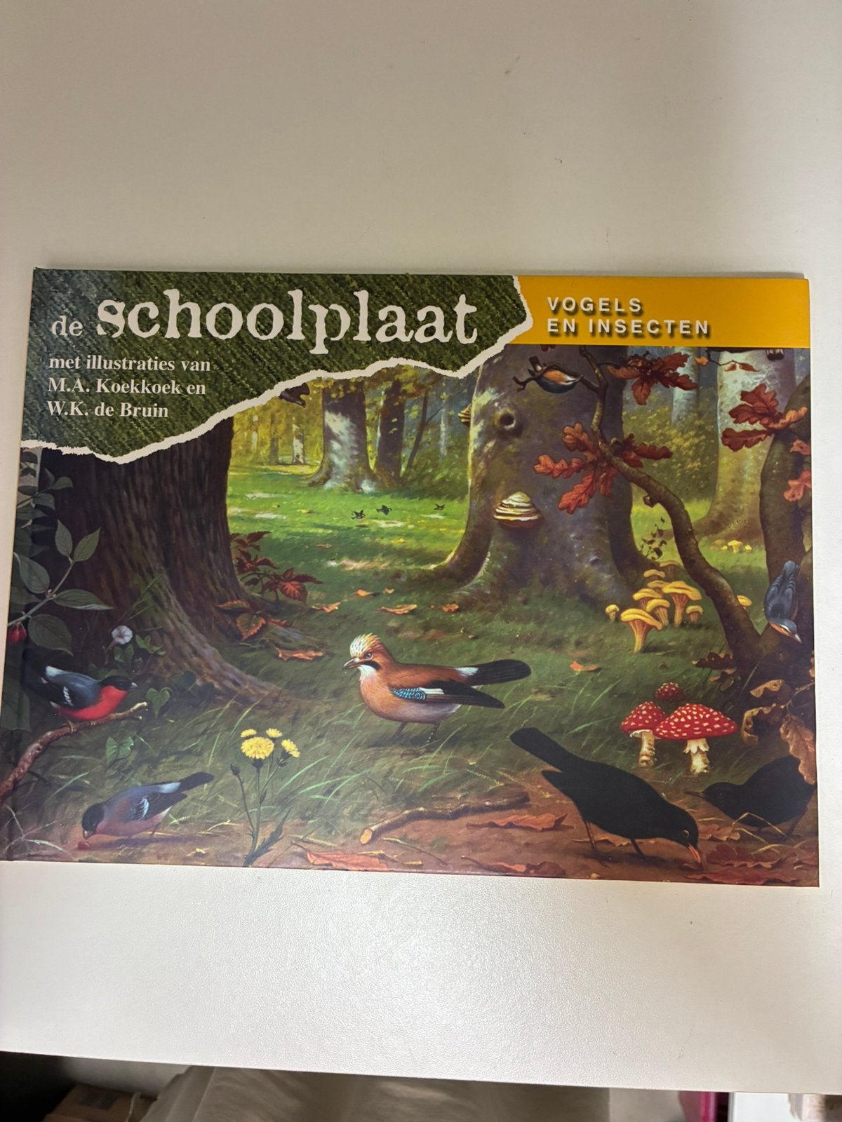Libre De Schoolplaat vogels en insecten, Ophalen of Verzenden, Natuur en Biologie
