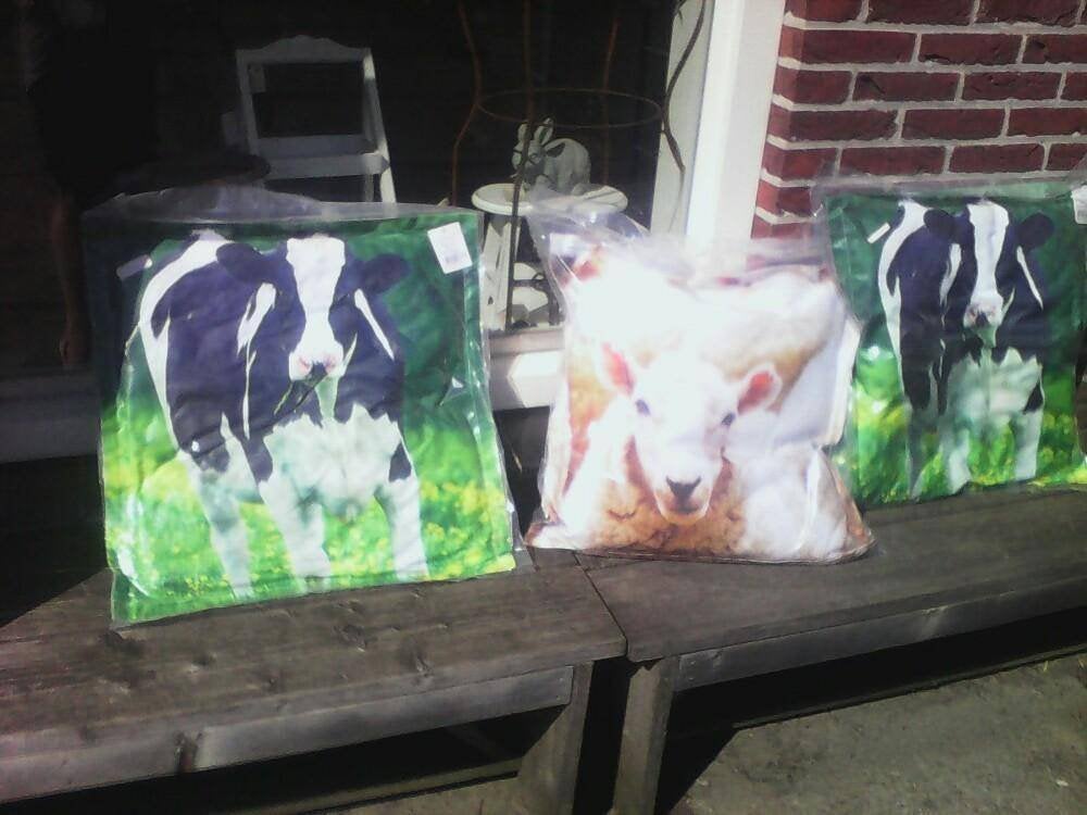 Buitenkussen koe of schaap, Ophalen of Verzenden, Nieuw