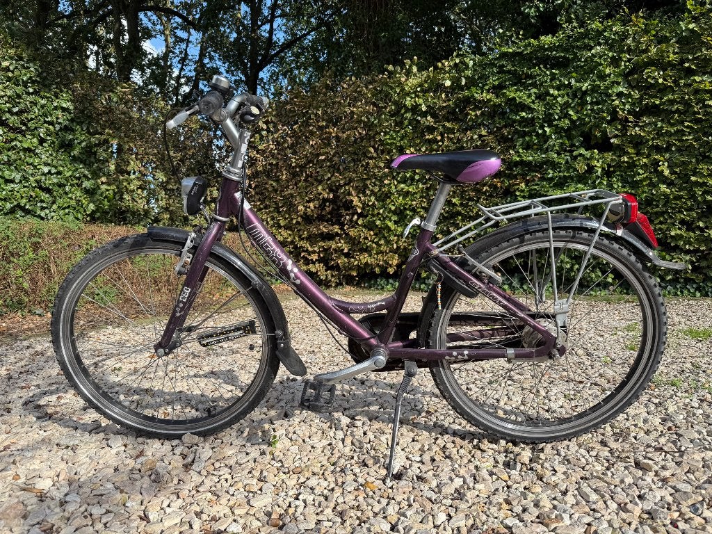Meisjesfiets, Ophalen, Giant, Handrem, Trommelrem