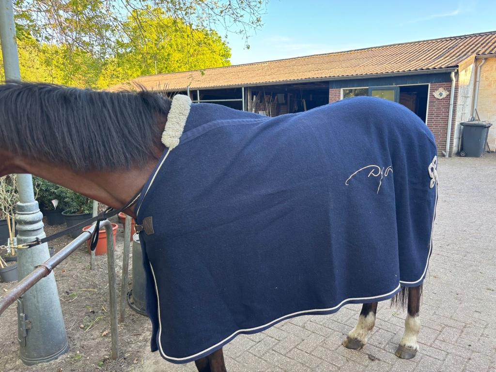 Paardendeken, Dieren en Toebehoren, Paarden en Pony's | Dekens en Dekjes, Ophalen of Verzenden, Gebruikt, Blauw, Wol
