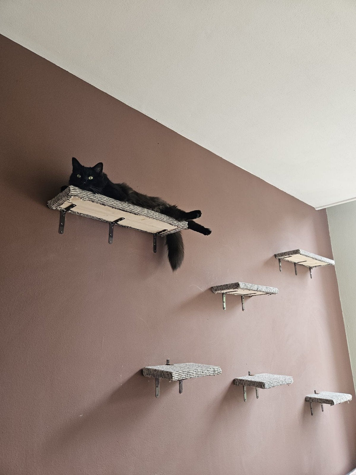 Kattenverzorving bij jou thuis