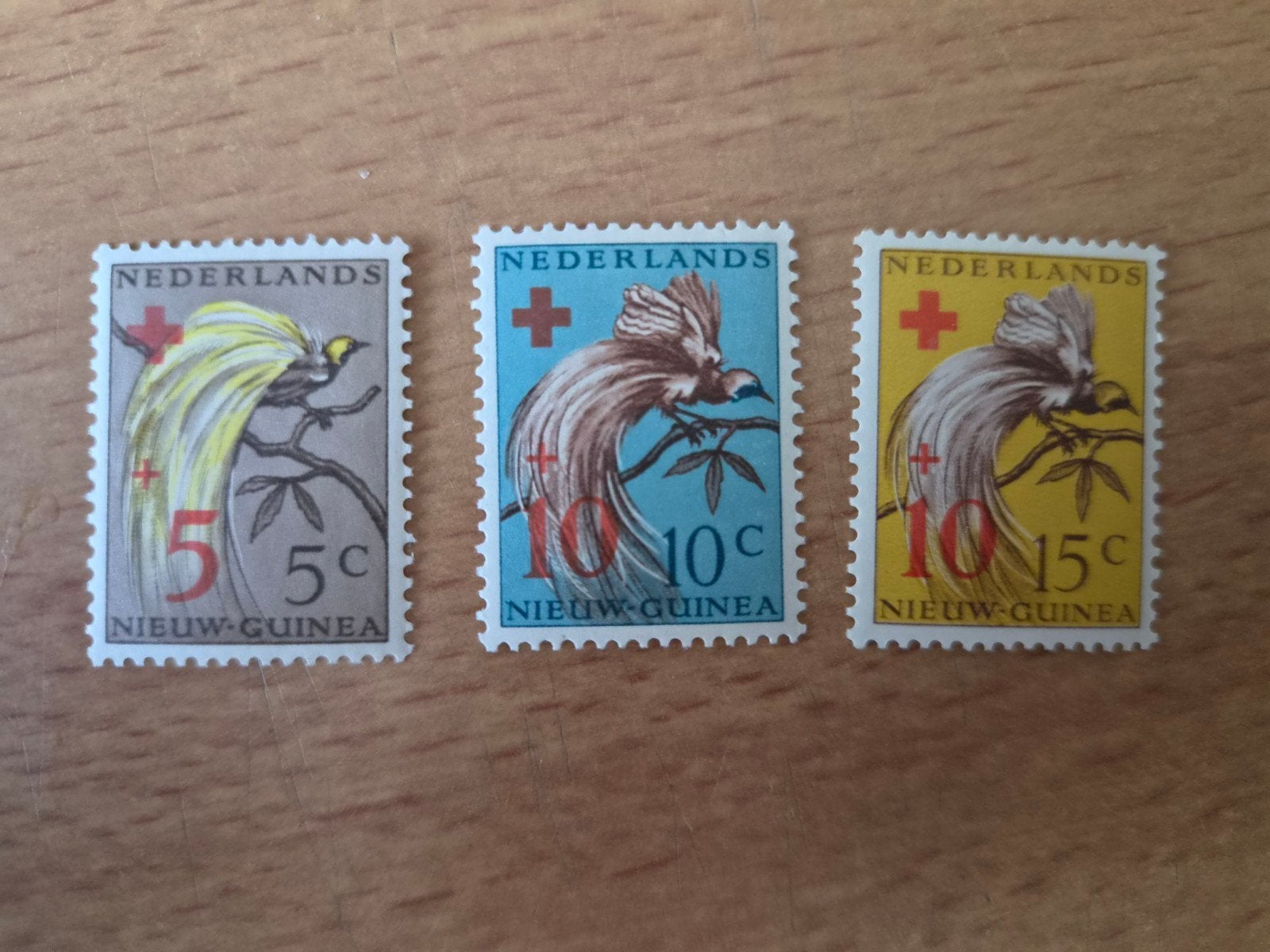 Nieuw Guinea, Ophalen of Verzenden