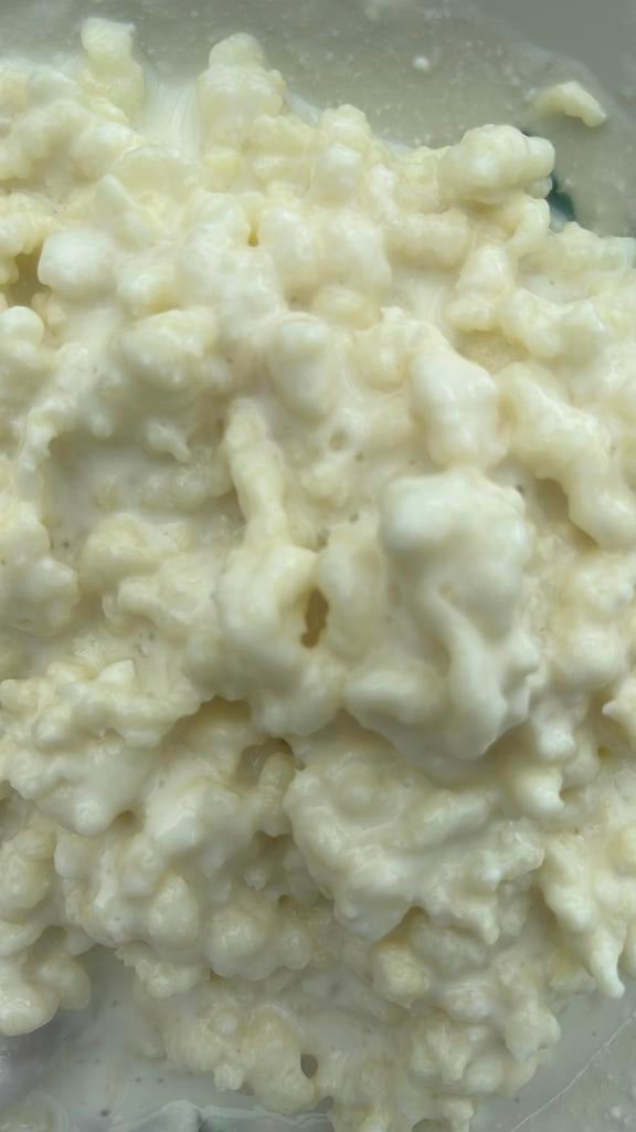 Melkkefir, Ophalen