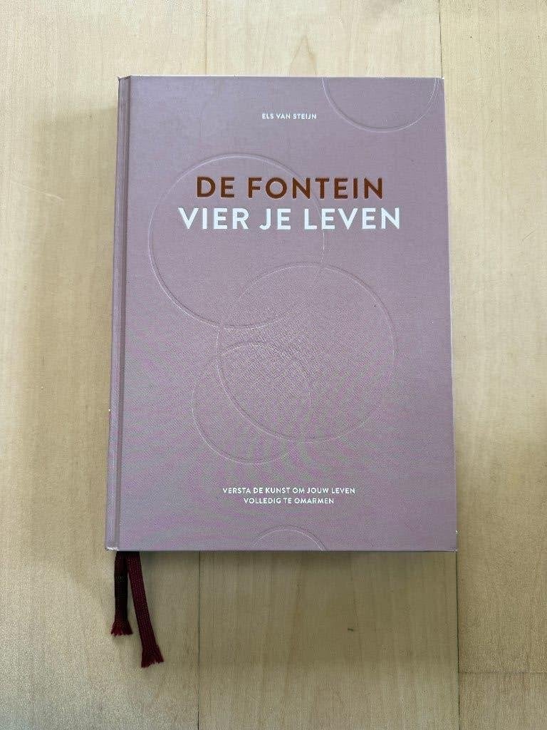 Els van Steijn - De fontein, vier je leven, Ophalen of Verzenden, Gelezen, Els van Steijn
