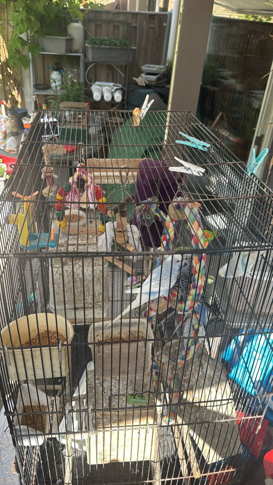 Kooi met 5 parkieten en toebehoren., Ophalen, Gebruikt, Metaal, Vogelkooi