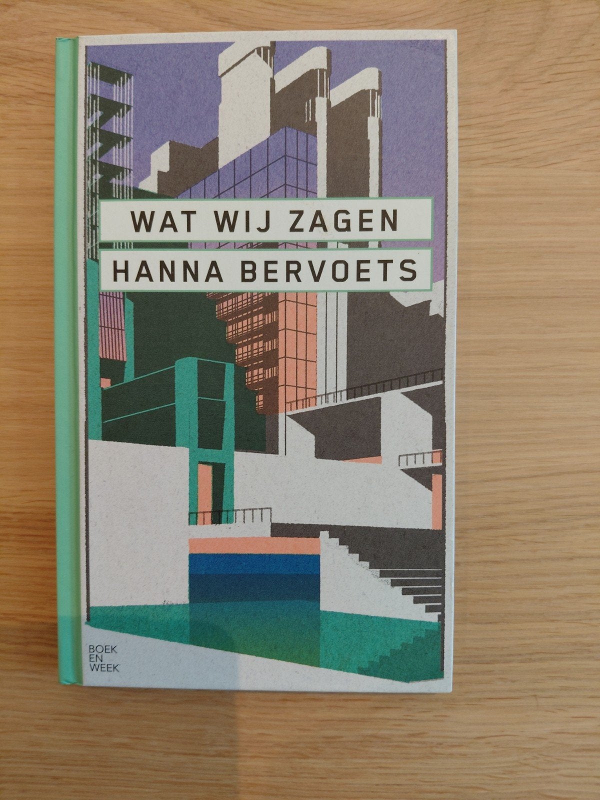 Wat Wij Zagen - Hanna Bervoets (Boek), Ophalen of Verzenden, Zo goed als nieuw, Hanna Bervoets, Nederland