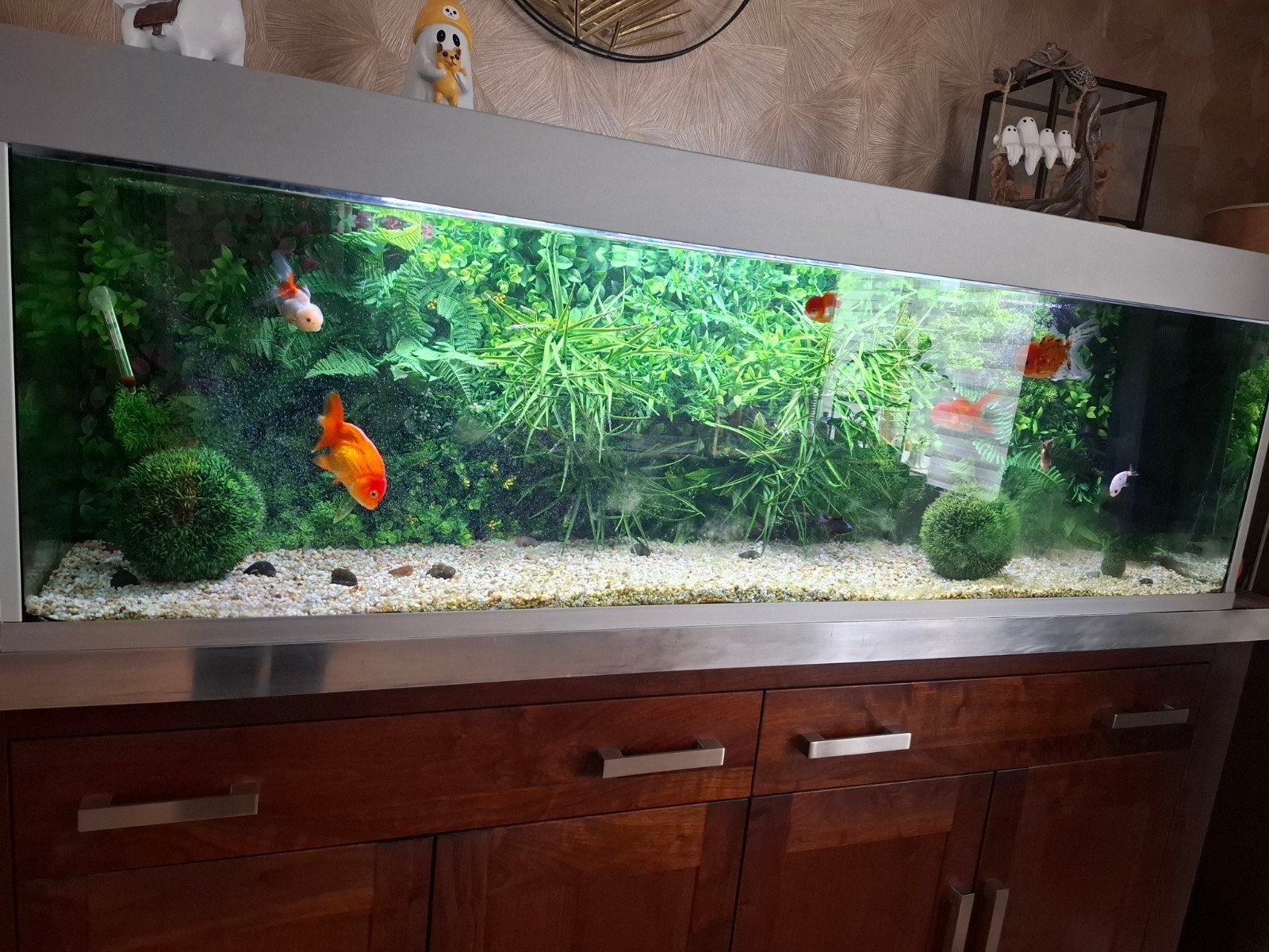 aquarium 450 liter., Dieren en Toebehoren, Ophalen, Gebruikt, Gevuld zoetwateraquarium