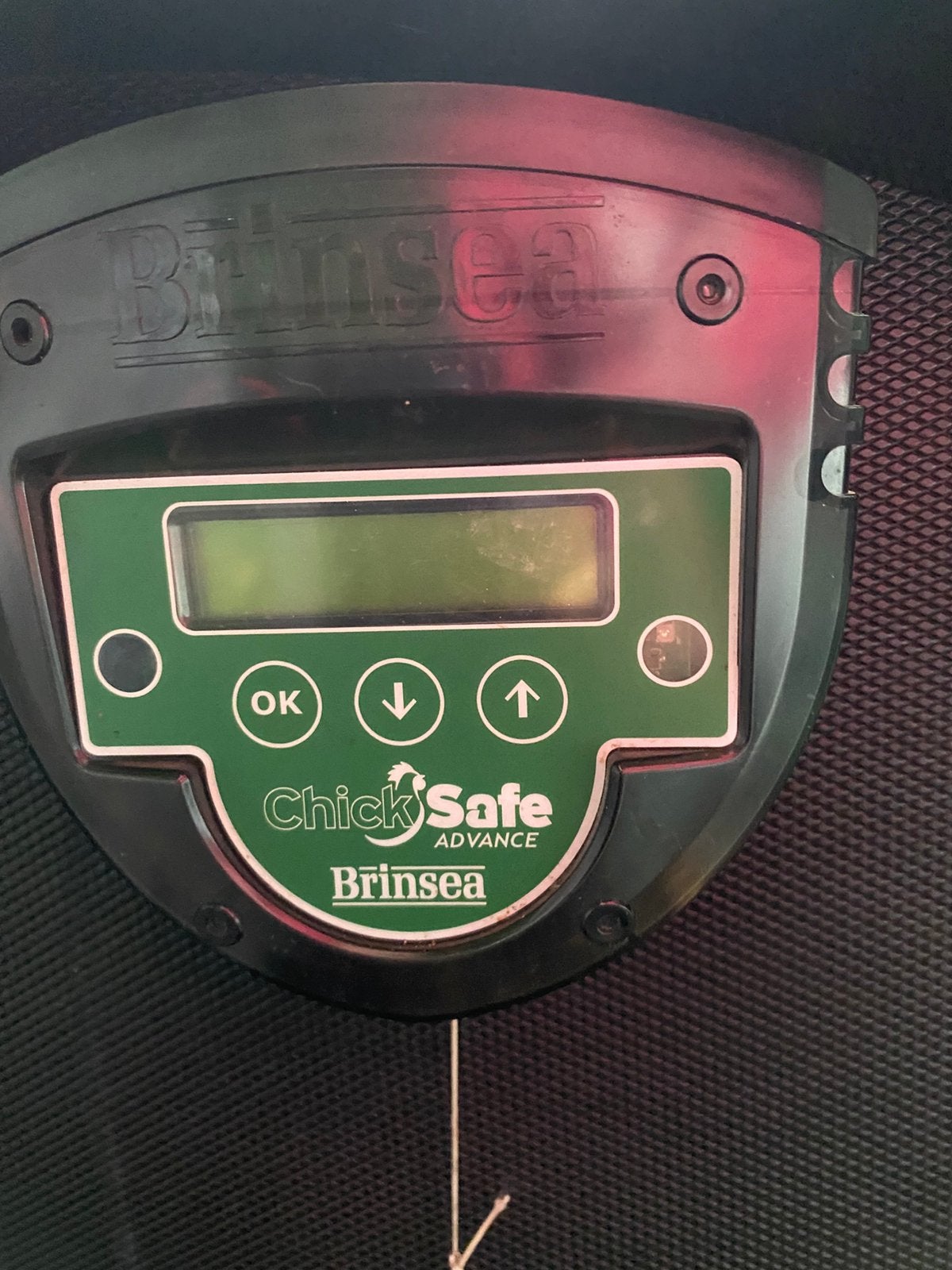 Brinsea Chicken Safe Advance automatische kippendeur, Dieren en Toebehoren, Ophalen of Verzenden, Zo goed als nieuw, Kippenhok of Kippenren