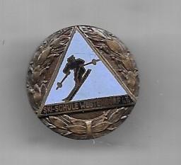 PRACHTIGE EMAILE SKI BROCHE SPELD, Ophalen of Verzenden, Gebruikt, Overige onderwerpen, Speldje of Pin