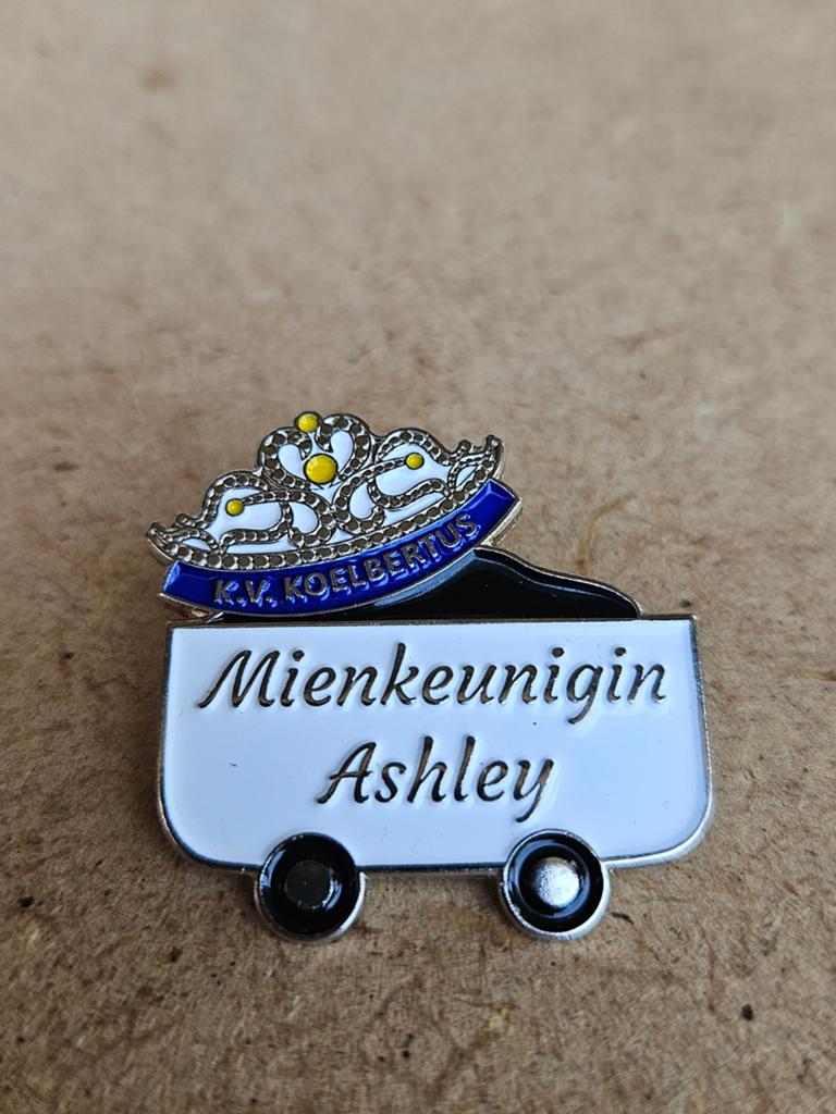 Carnavals PINS NEDERLAND, Ophalen of Verzenden, Zo goed als nieuw, Overige onderwerpen, Speldje of Pin