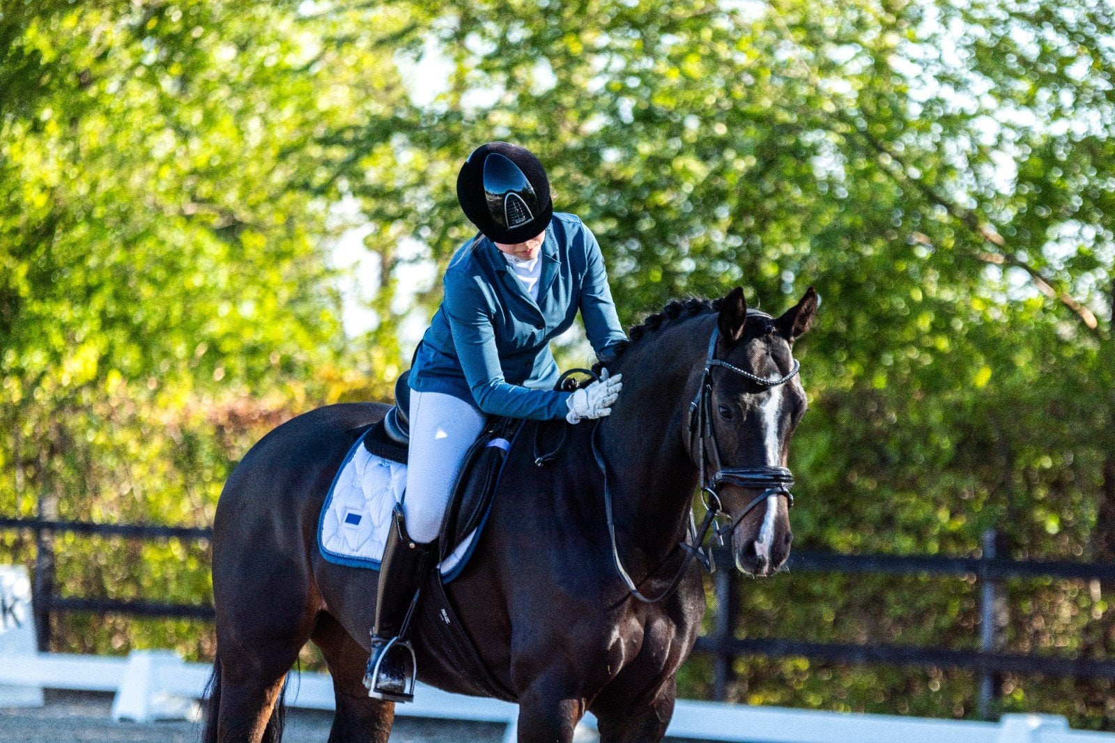 Equesterian Stockholm jasje en bijpassend dekje te koop!, Ophalen of Verzenden, Zo goed als nieuw, Dressuur, Bovenkleding