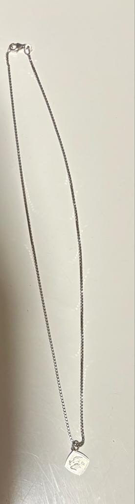 Echt Zilveren Ketting met Vissen Sterrenbeeld Hanger, Ophalen of Verzenden, Gebruikt, Zilver, Met hanger