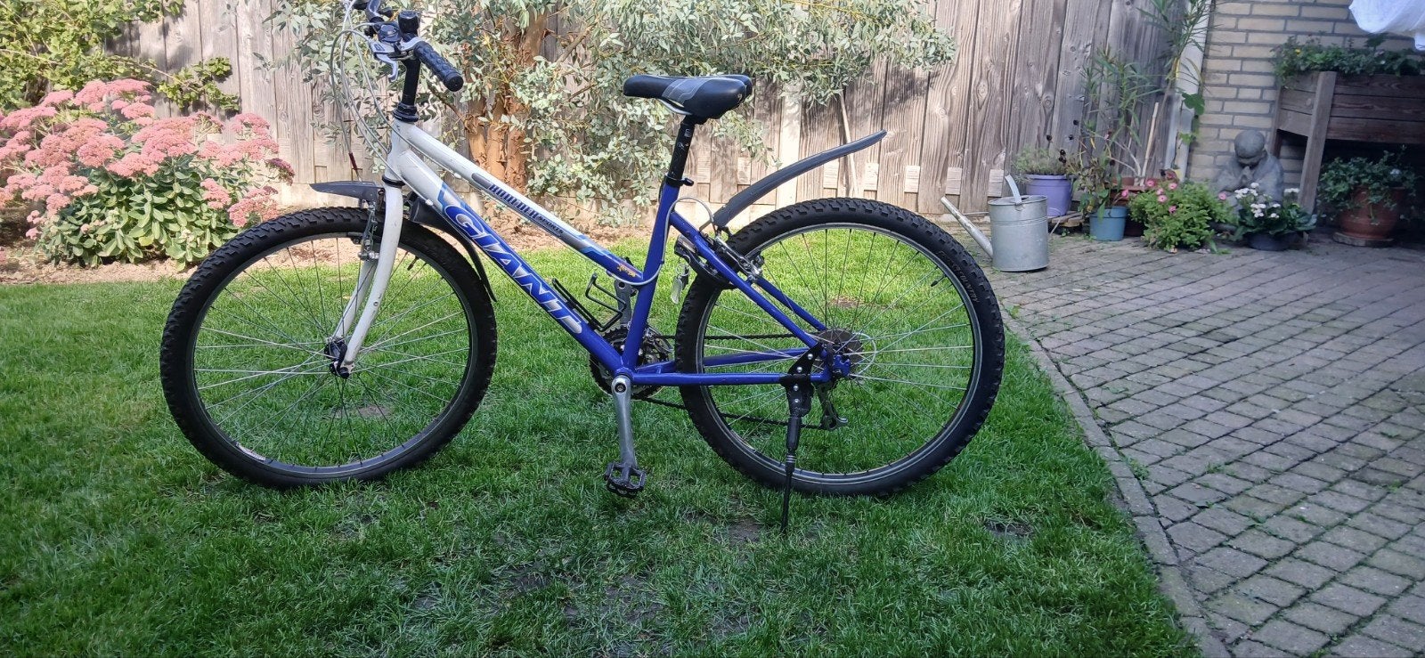 giant mtb, Fietsen en Brommers, Minder dan 47 cm, Ophalen, Gebruikt, Giant