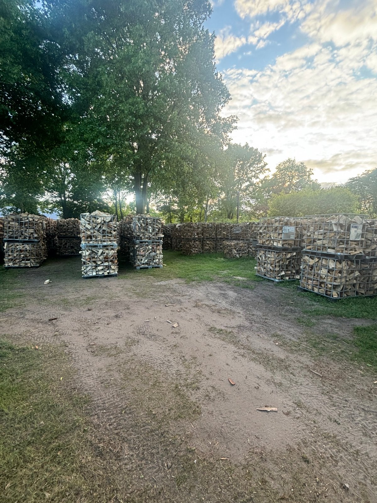 Haardhout kachelhout, 6 m³ of meer, Ophalen of Verzenden