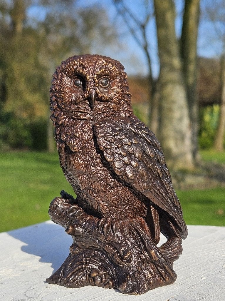 UIL OP BOOMSTRONK / bronzen beeld, Dierenbeeld, Nieuw, Info@huisentuindecoratiemarie.nl, Huis en tuin decoratie marie