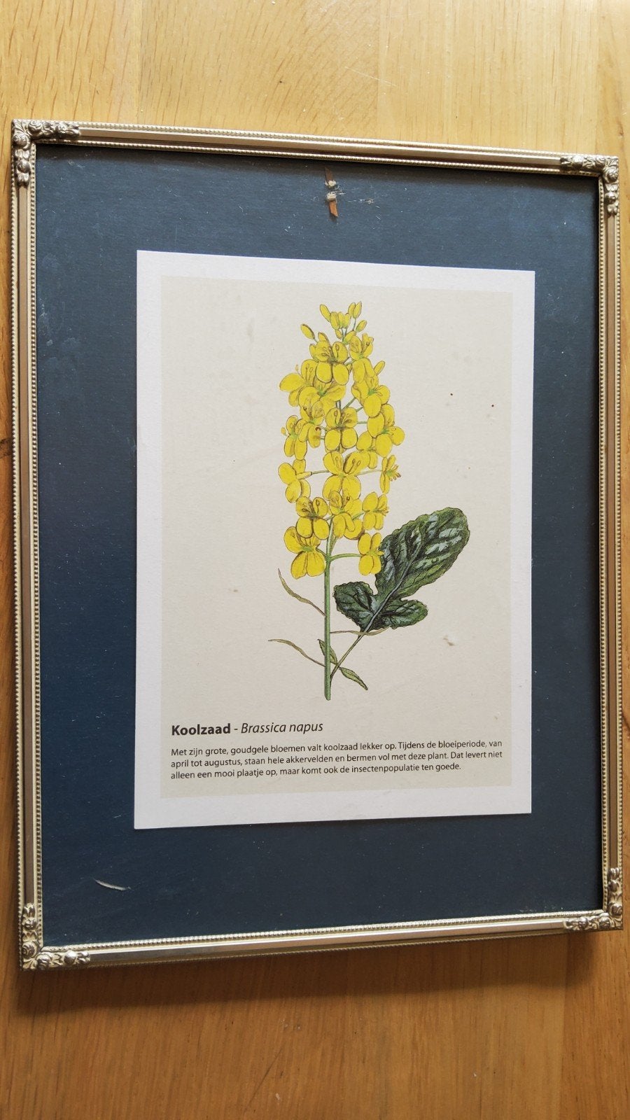 Groot antiek zilver kleur fotolijstje mat glas rozen hoeken., Ophalen of Verzenden