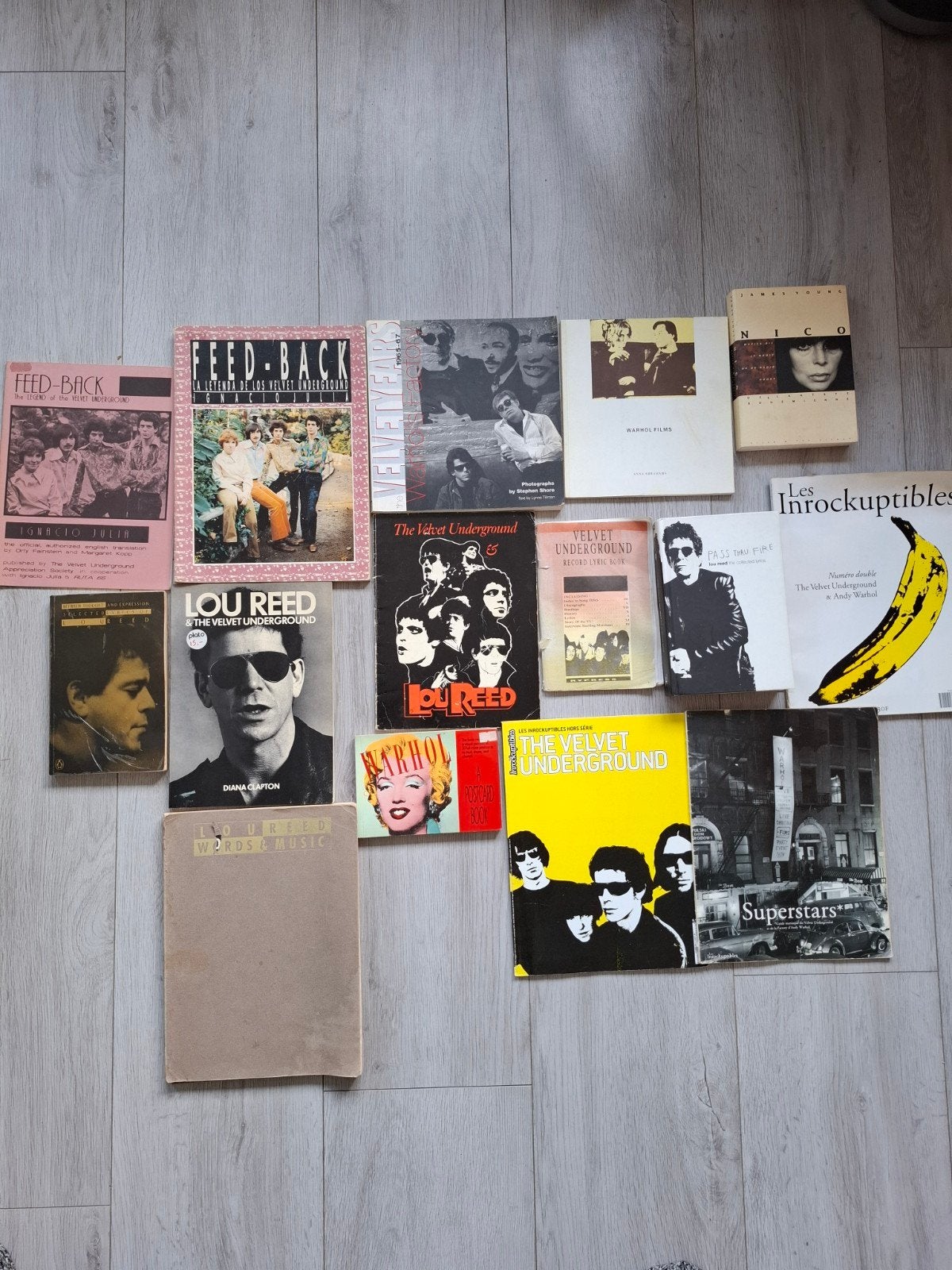 Boeken over The Velvet Underground, Lou Reed en Nico, Ophalen of Verzenden, Gelezen, Artiest, Diverse auteurs, waaronder Ignacio Julia, Diana Clapton