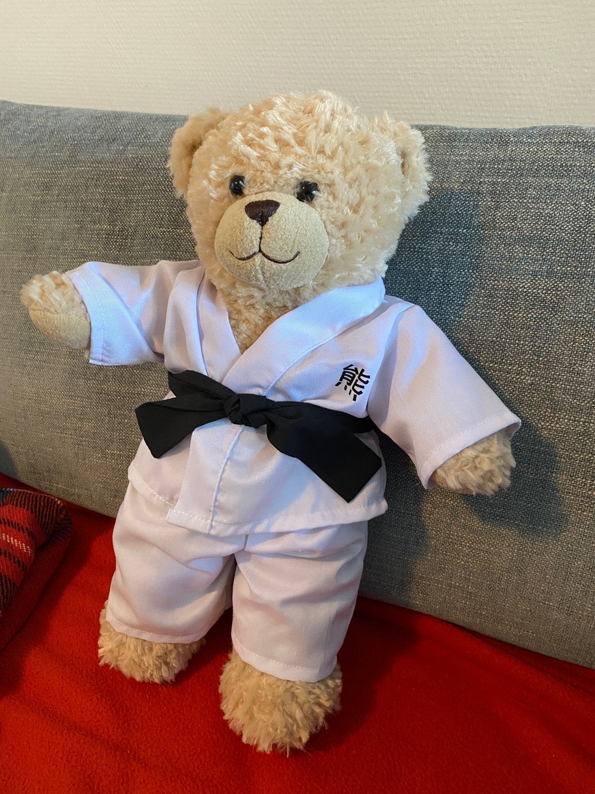 Build-a-bear teddybeer in aikido pak, Ophalen of Verzenden, Nieuw, Stoffen beer, Overige merken