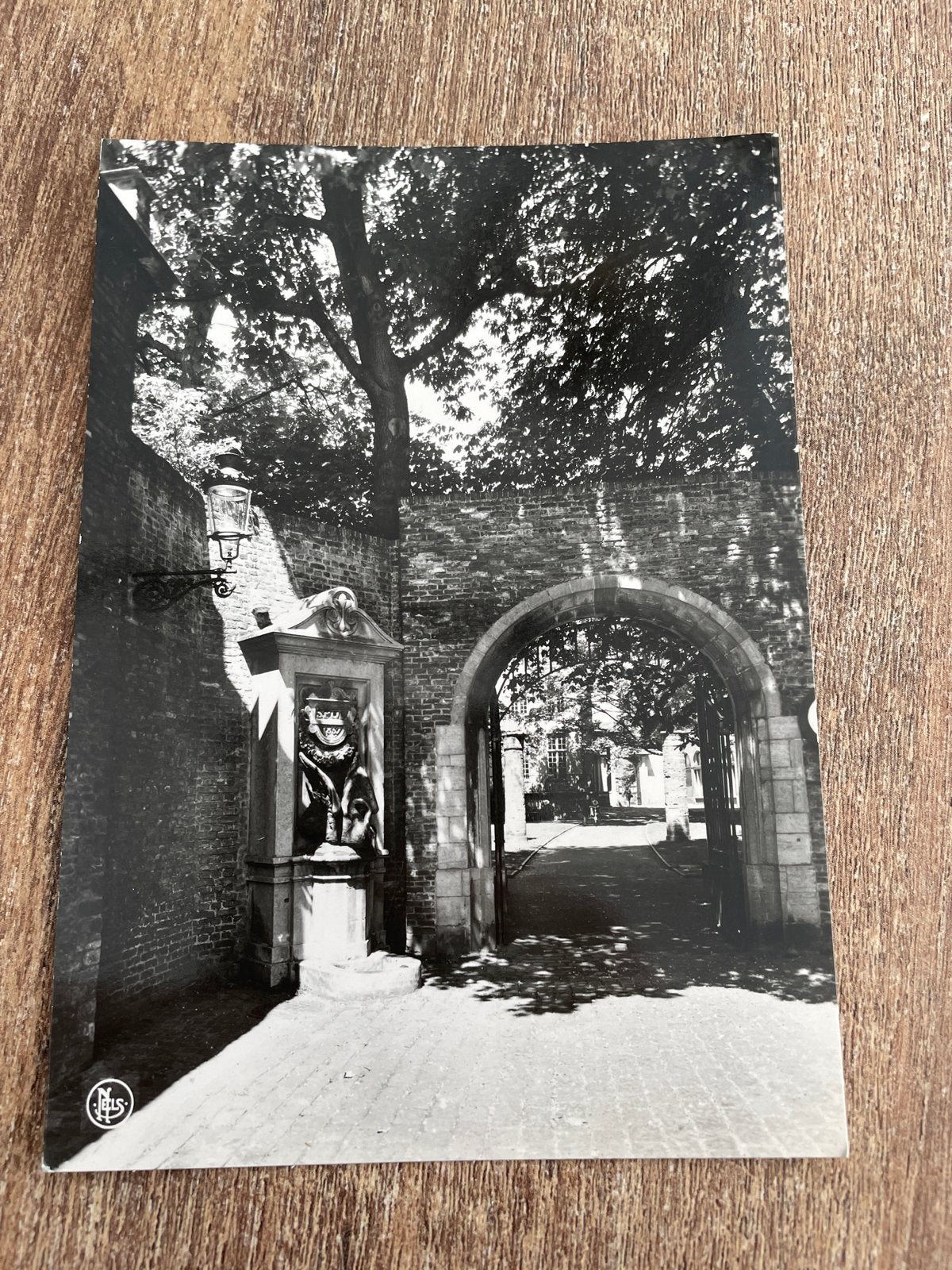 Oude foto Brugge Groeninghe - Zwart-wit, Verzamelen, Ophalen of Verzenden, 1960 tot 1980, Ongelopen, West-Vlaanderen