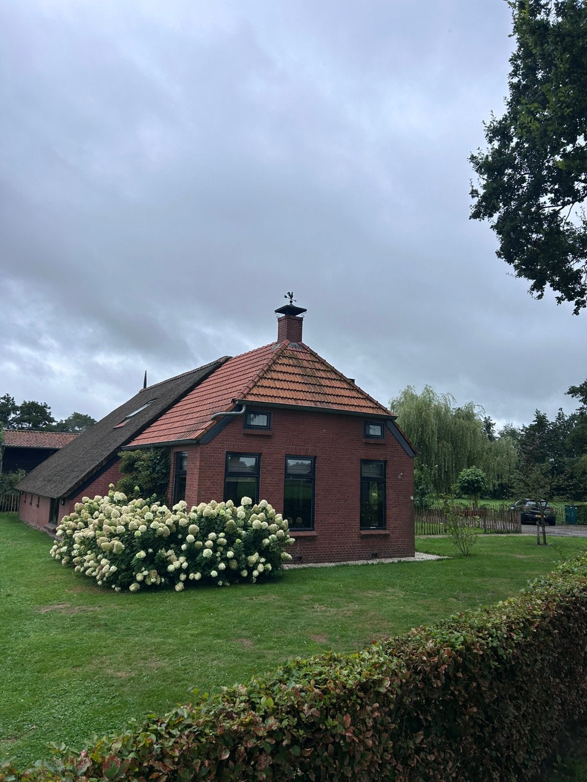 Dakpannen vlakke mulden pan, Ophalen, Gebruikt, Steen of Klei, 15 m² of meer
