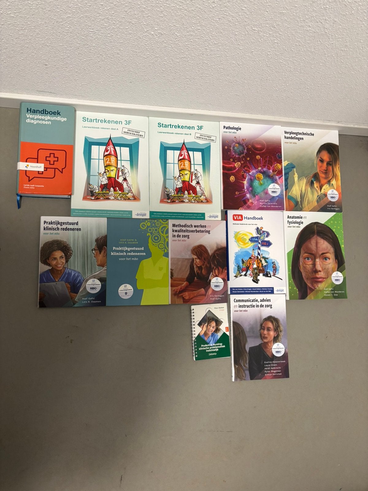 Verpleegkundige boeken, Ophalen, Zo goed als nieuw, Overige niveaus, Nederlands