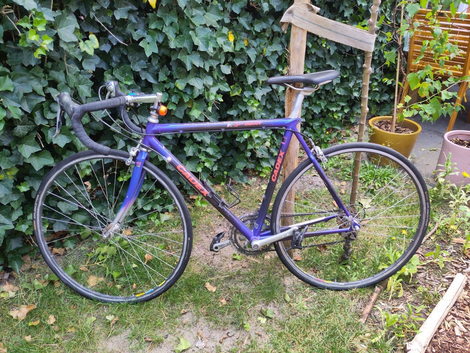Mooie carbon racefiets - Giant Cadex - Maat 53, Ophalen, Gebruikt, Carbon, Giant