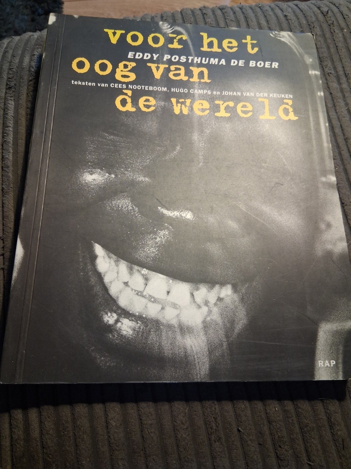 Eva Posthuma de Boer - Voor het oog van de wereld, Ophalen of Verzenden, Zo goed als nieuw, Eva Posthuma de Boer