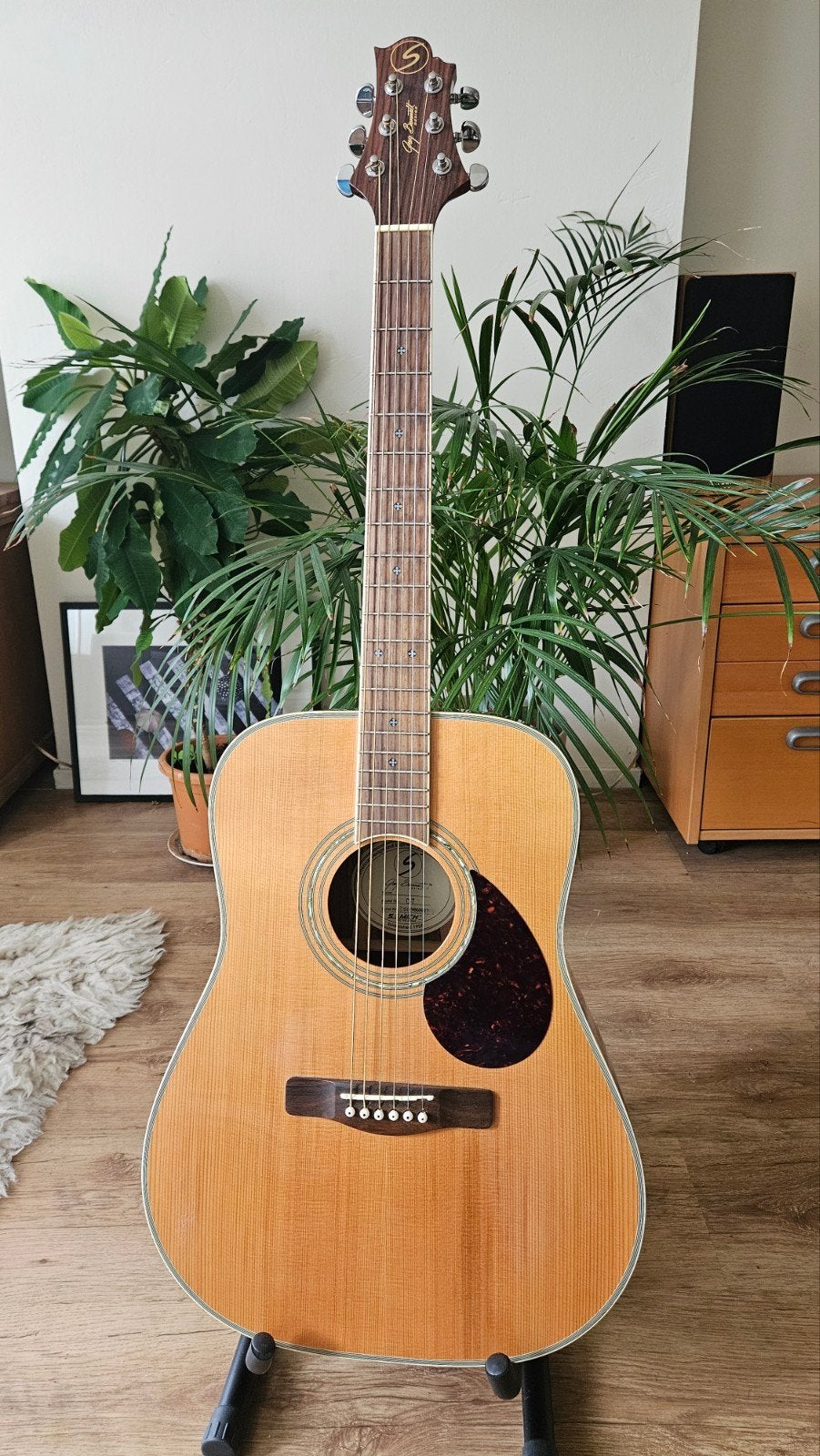Samick akoestische Western gitaar (Greg Bennett design), Ophalen, Gebruikt, Western- of Steelstringgitaar