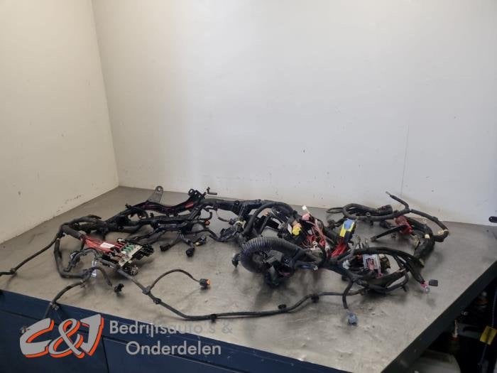 Kabelboom motorruimte van een Renault Master, Gebruikt, -, Renault, -