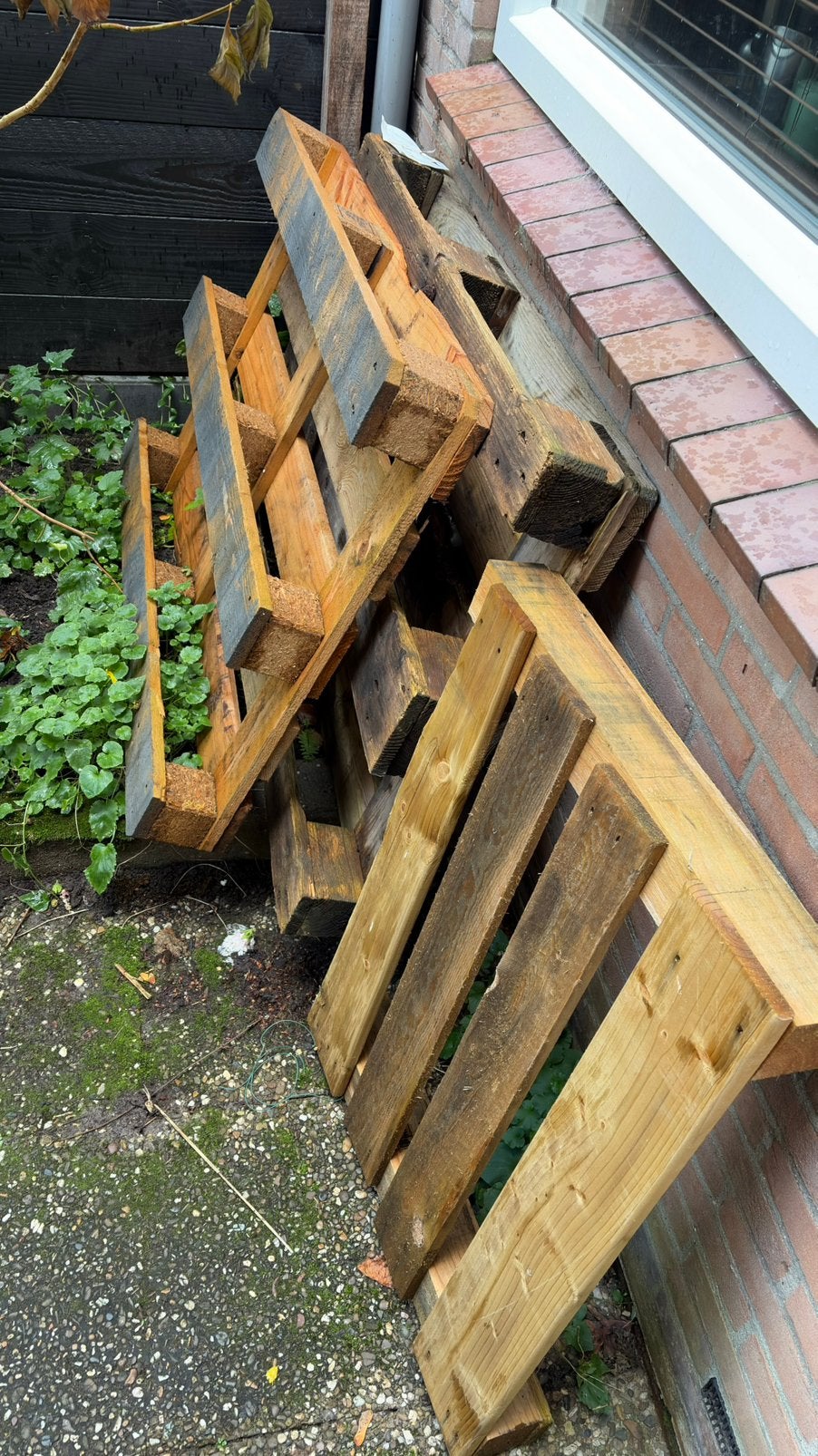 Houten Pallets gratis op te halen., Ophalen, Zo goed als nieuw, Pallet, Minder dan 200 cm