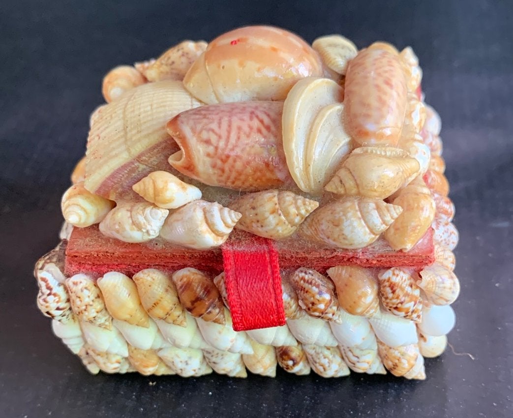 Uniek Schelpen Doosje met Rood Fluweel Interieur, Ophalen of Verzenden, Zo goed als nieuw