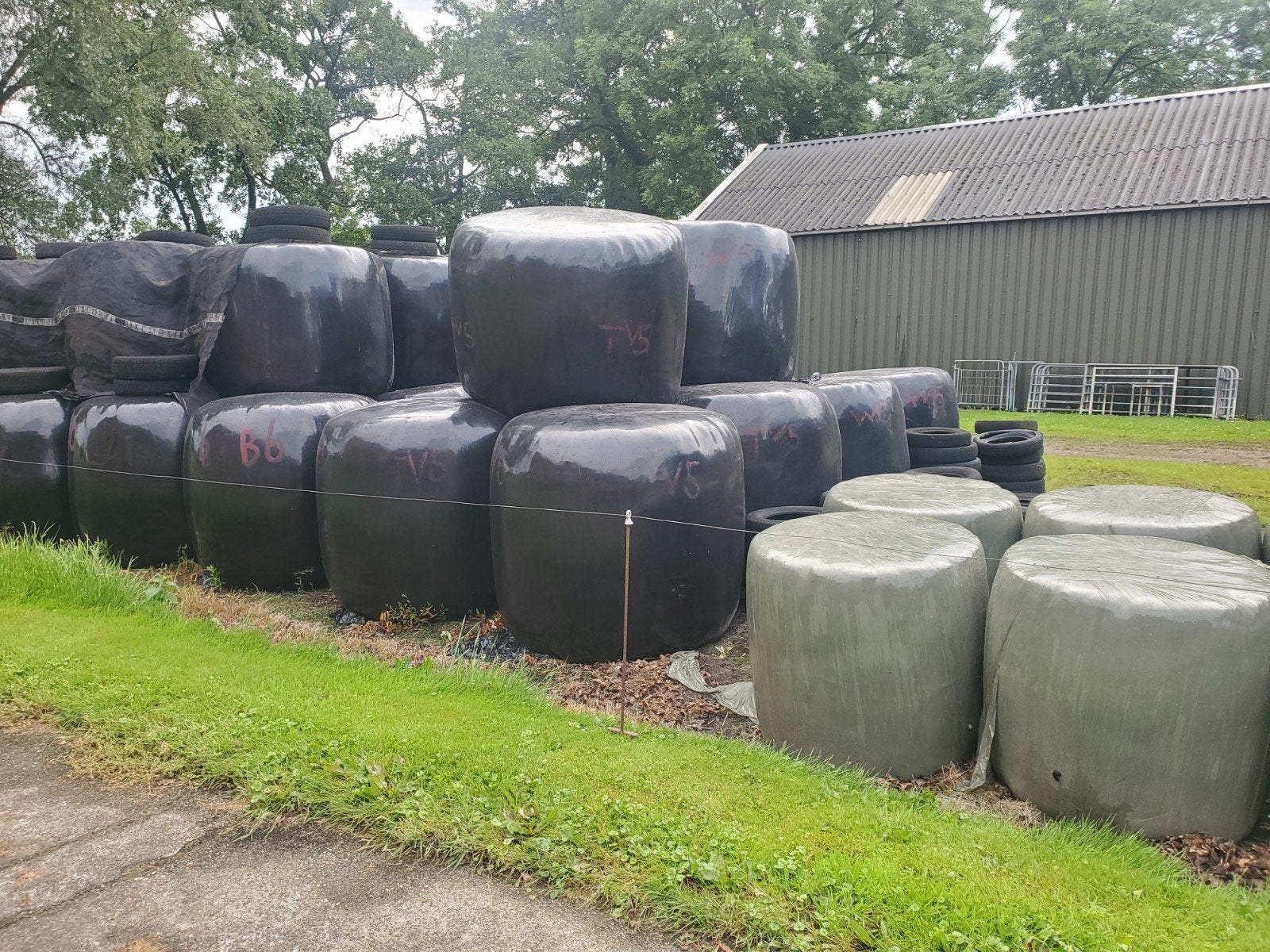 Ronde balen, Dieren en Toebehoren, Ophalen, Vee