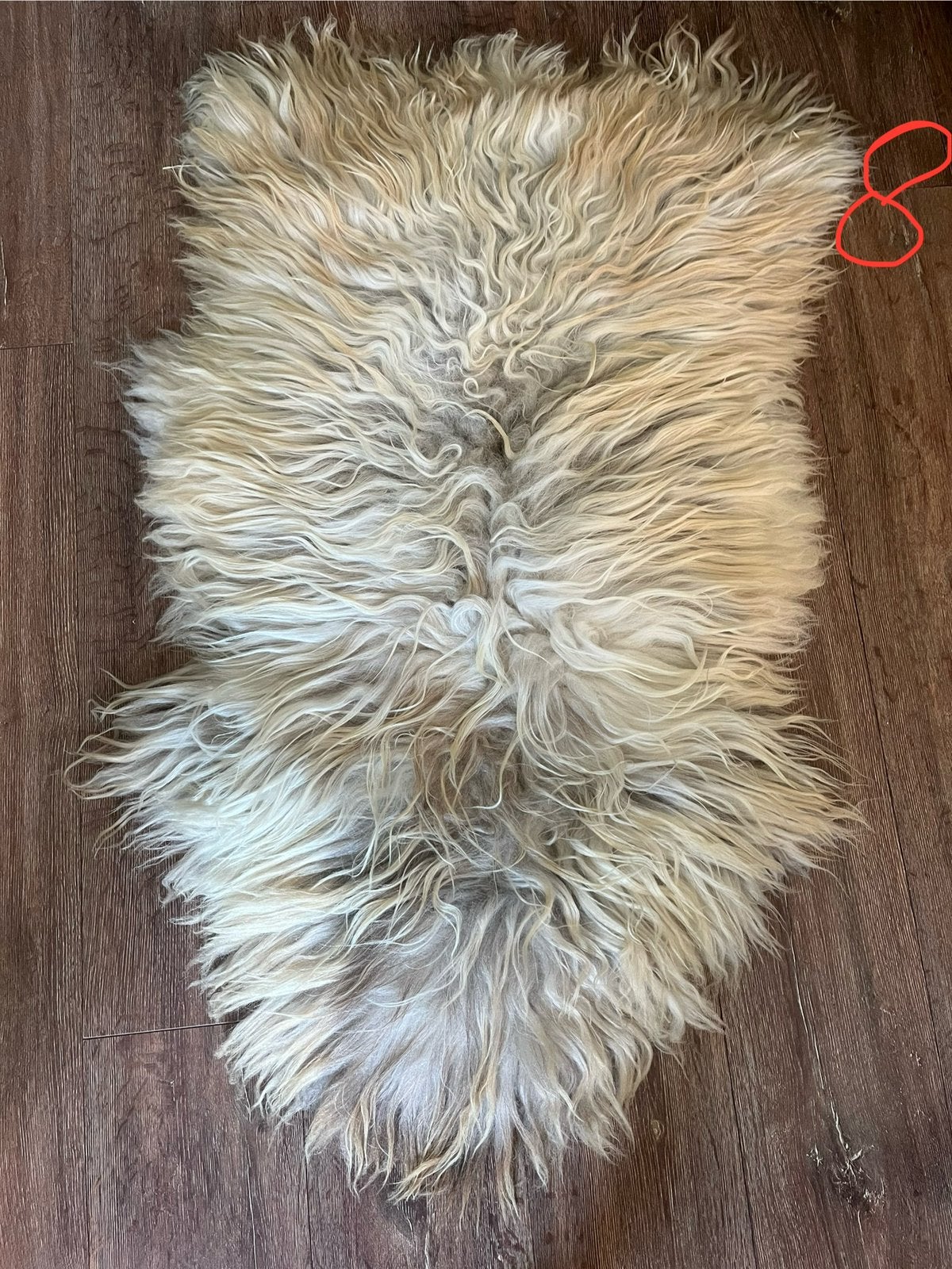 8 Gave wit/ bruin gemêleerde vacht drens heideschaap, Woondeken, 70 cm, Nieuw, Ophalen of Verzenden
